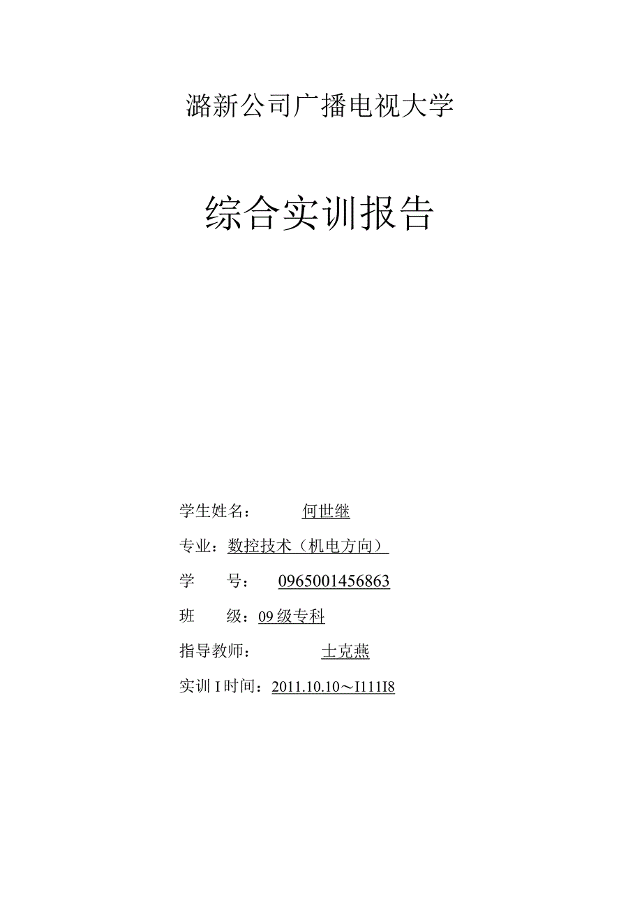 潞新电大综合实训报告2003.docx_第1页