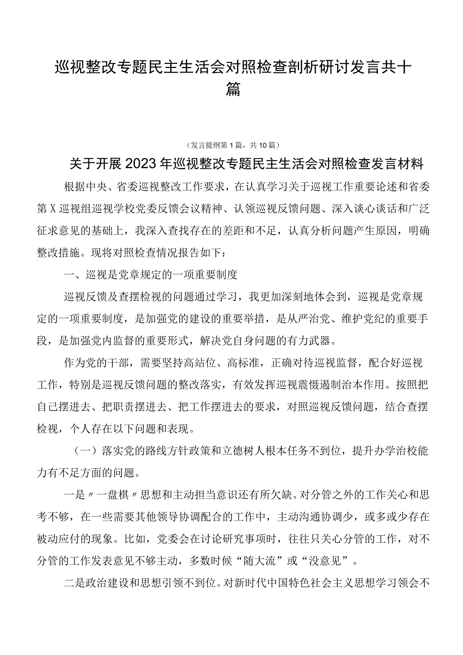 巡视整改专题民主生活会对照检查剖析研讨发言共十篇.docx_第1页