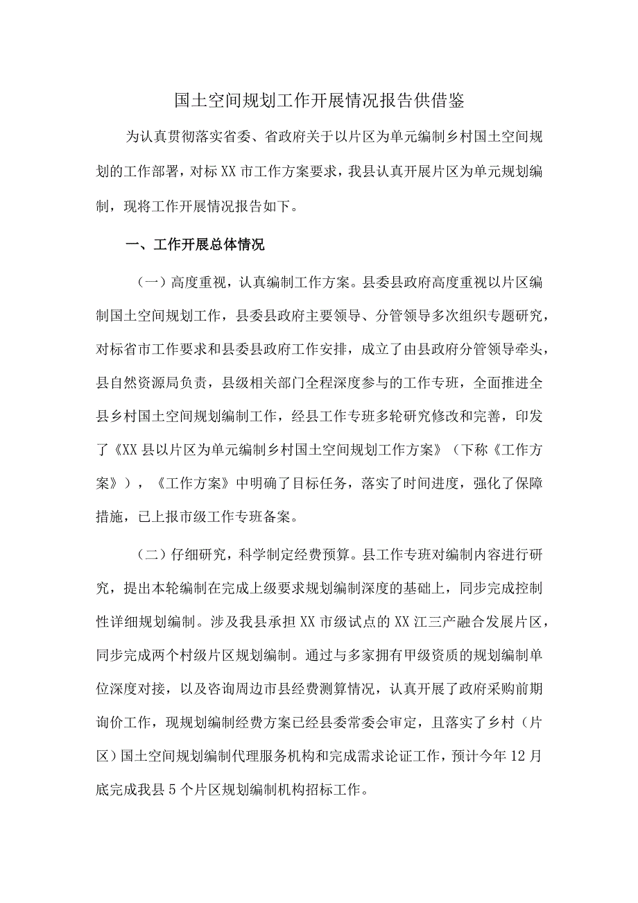 国土空间规划工作开展情况报告供借鉴.docx_第1页