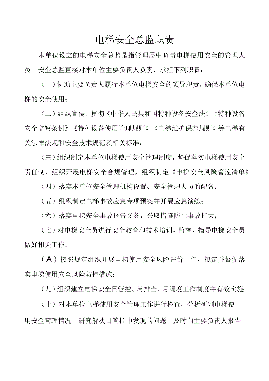 电梯安全总监职责.docx_第1页