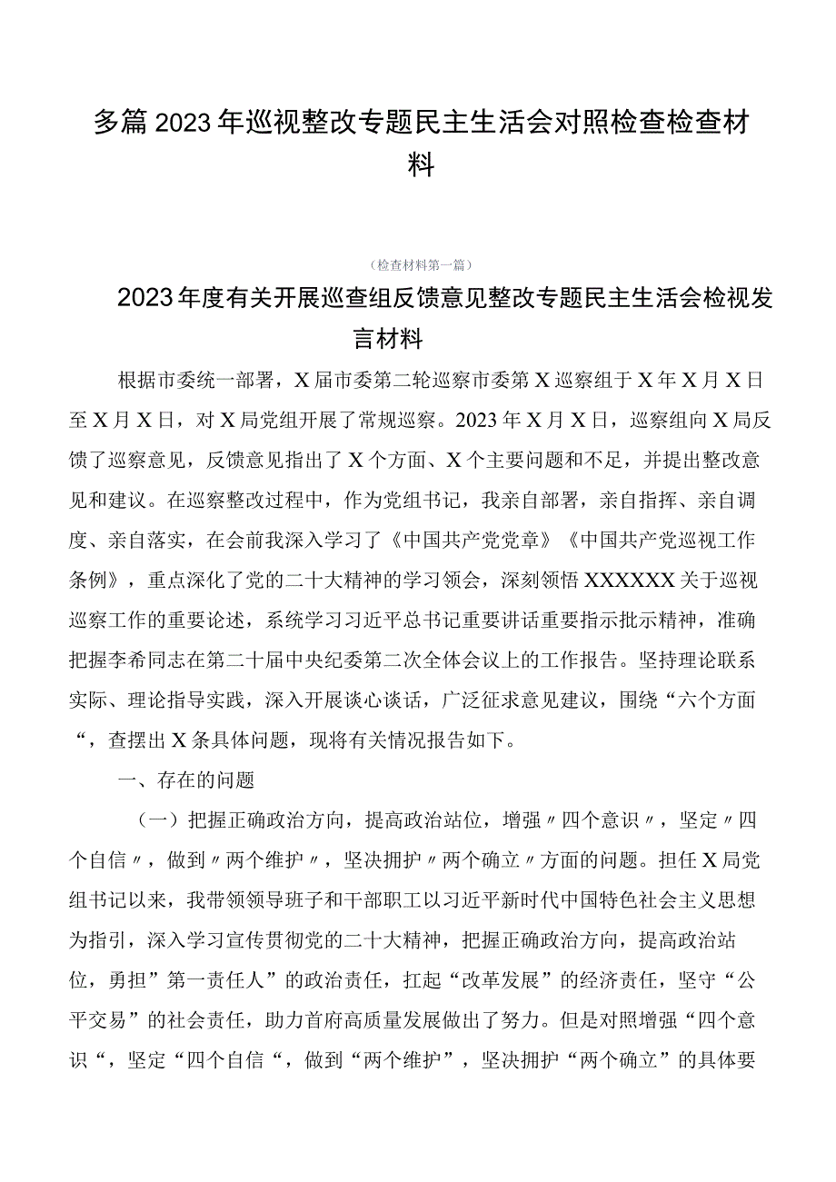 多篇2023年巡视整改专题民主生活会对照检查检查材料.docx_第1页