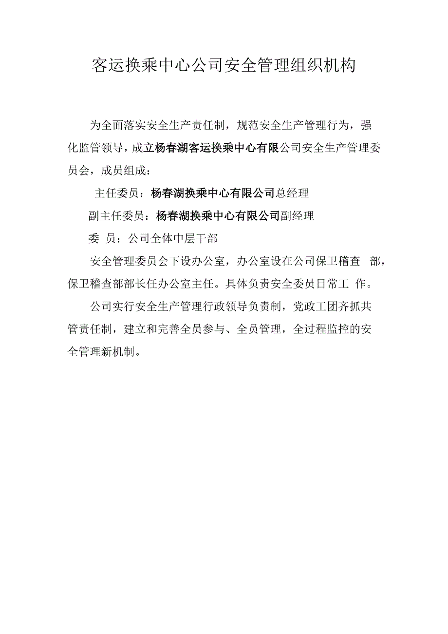 客运换乘中心公司安全管理组织机构.docx_第1页