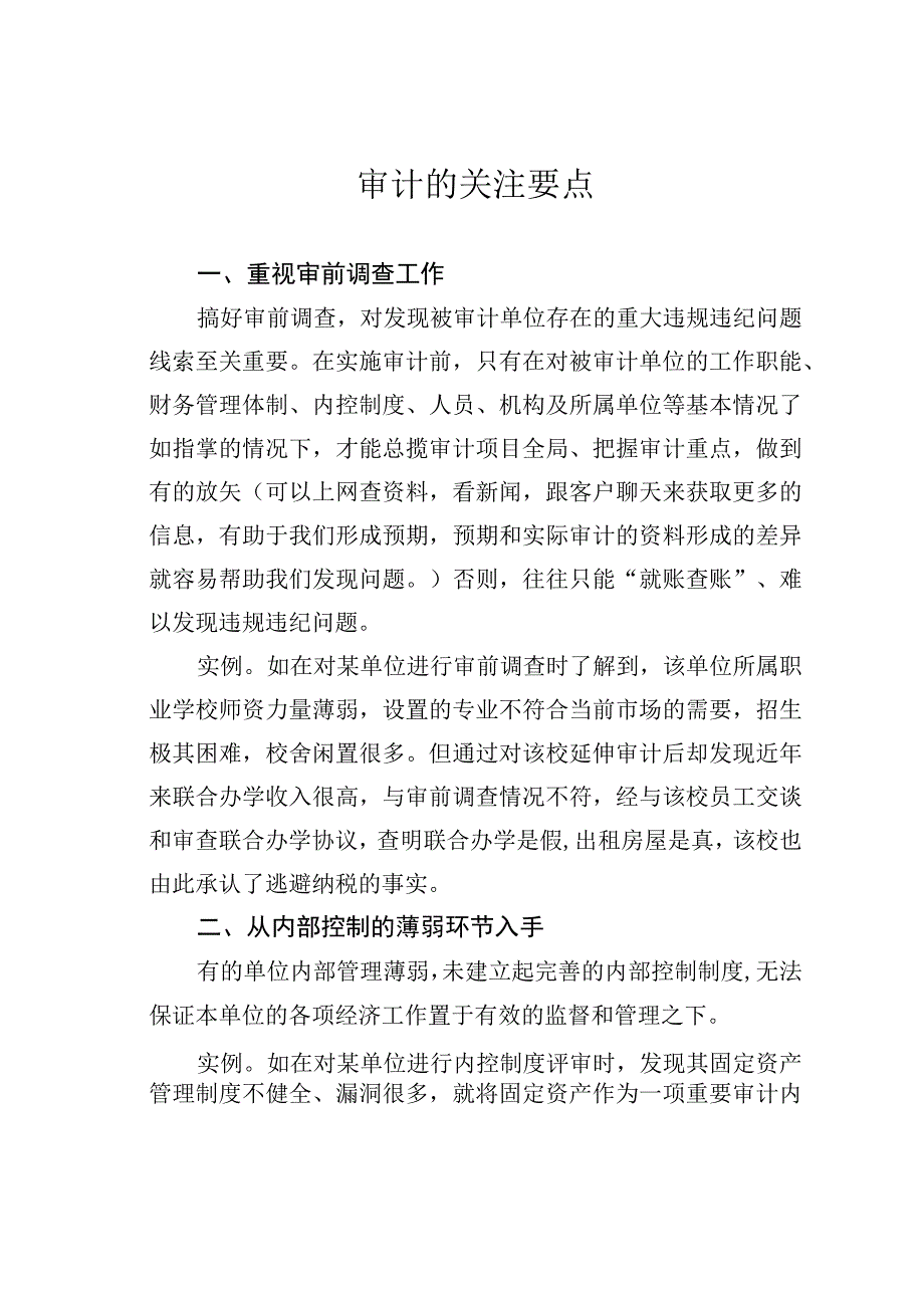 审计的关注要点.docx_第1页