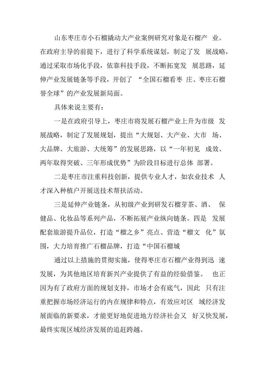 山东枣庄市小石榴撬动大产业案例剖析.docx_第1页