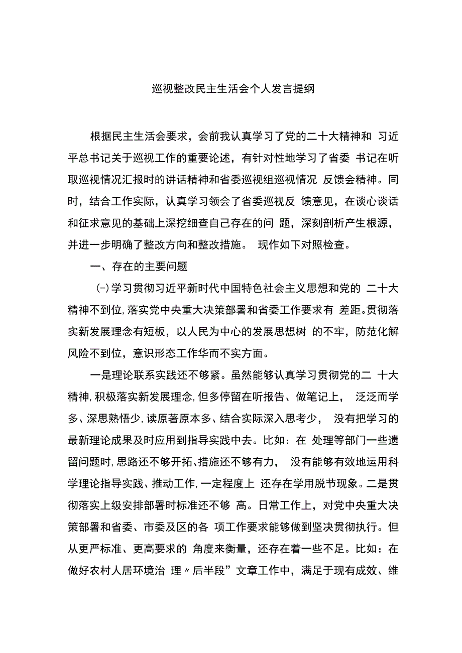 巡视整改民主生活会个人发言提纲.docx_第1页