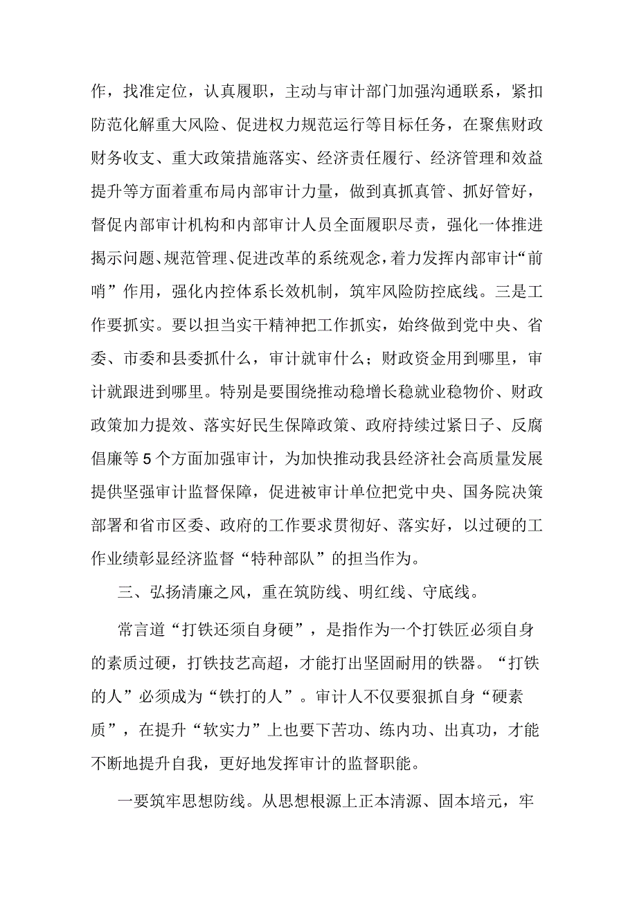 审计局长“以学正风”和“树立和践行正确政绩观”专题研讨发言(二篇).docx_第3页