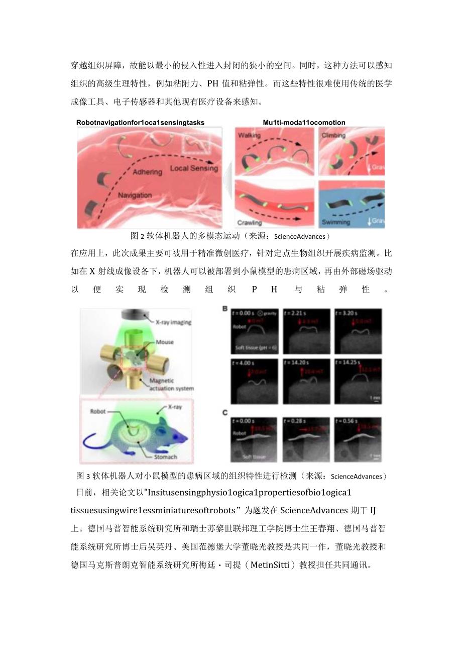 基于磁场驱动的无线微型软体机器人应用.docx_第2页