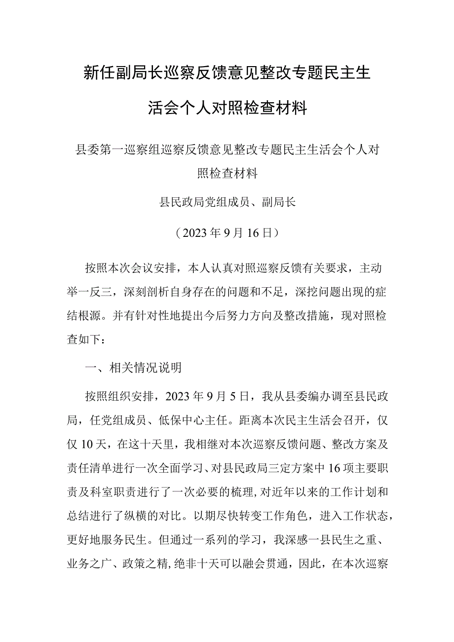 巡察整改专题民主生活会个人对照检查材料（新任副局长）.docx_第1页