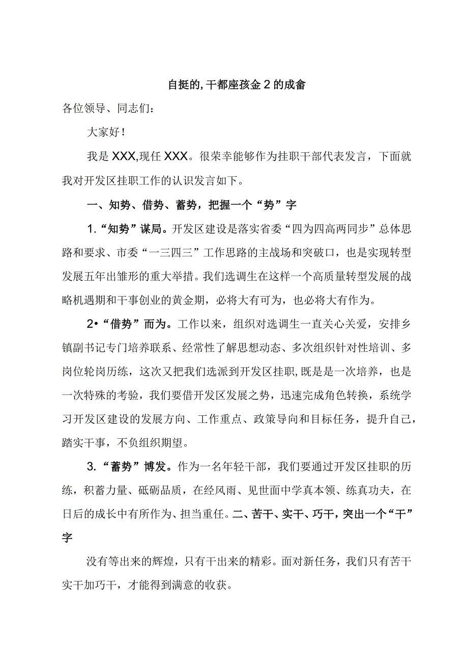 在挂职干部座谈会上的发言.docx_第1页