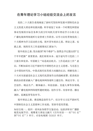 在青年理论学习小组经验交流会上的发言.docx