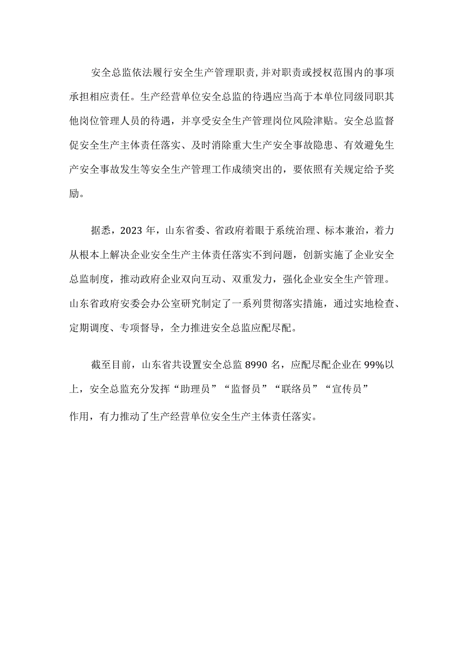 山东省生产经营单位安全总监制度实施办法（试行）的通知.docx_第2页