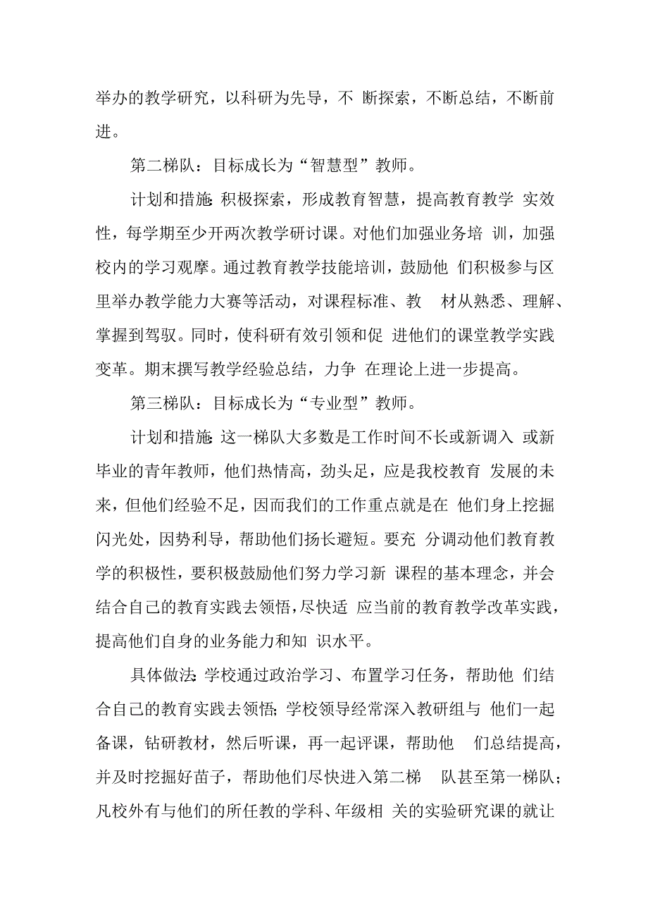 小学教师梯队管理方案.docx_第3页