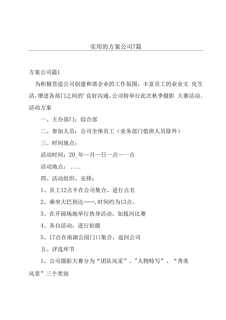 实用的方案公司7篇.docx_第1页