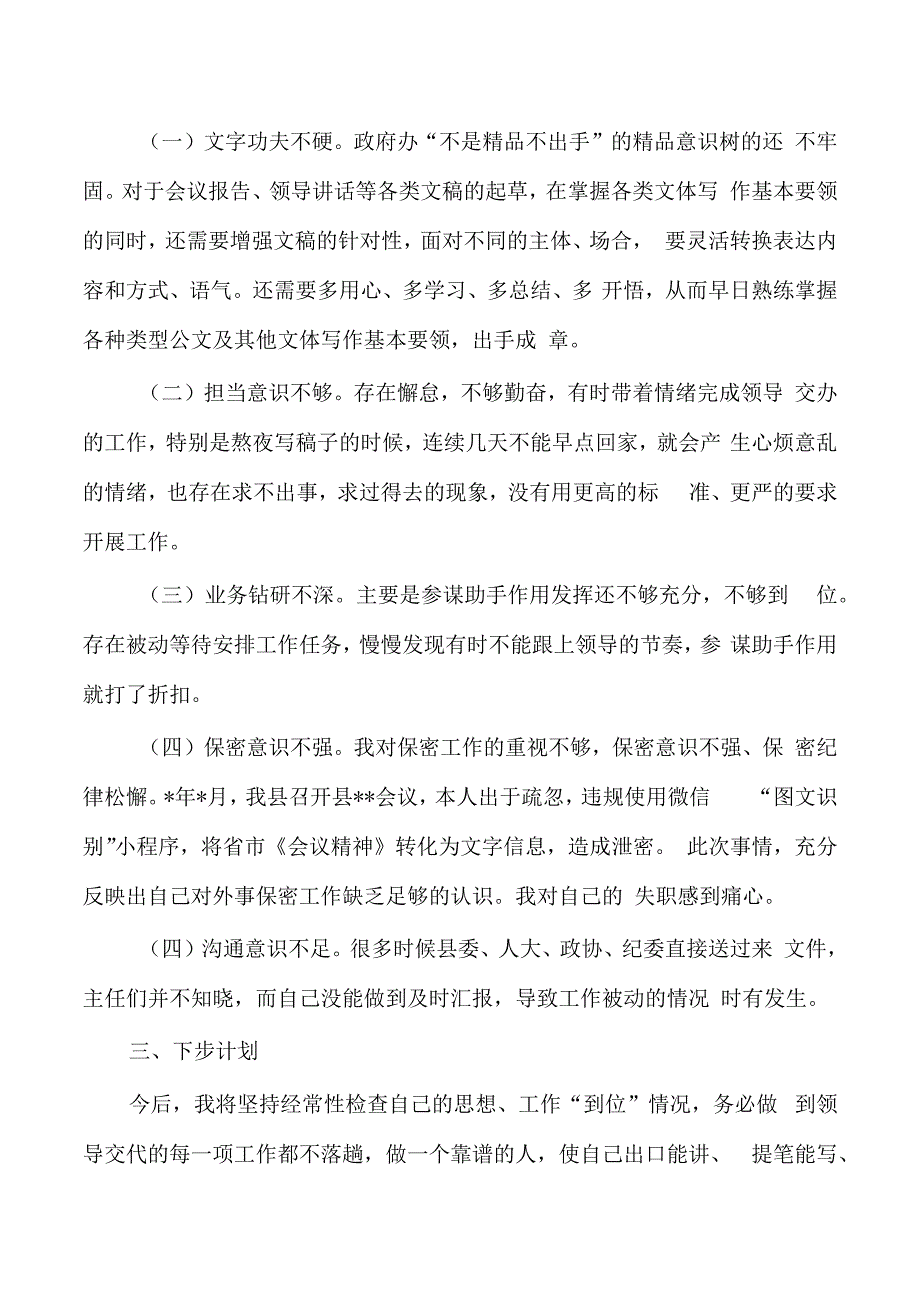 政府办个人检查发言.docx_第2页