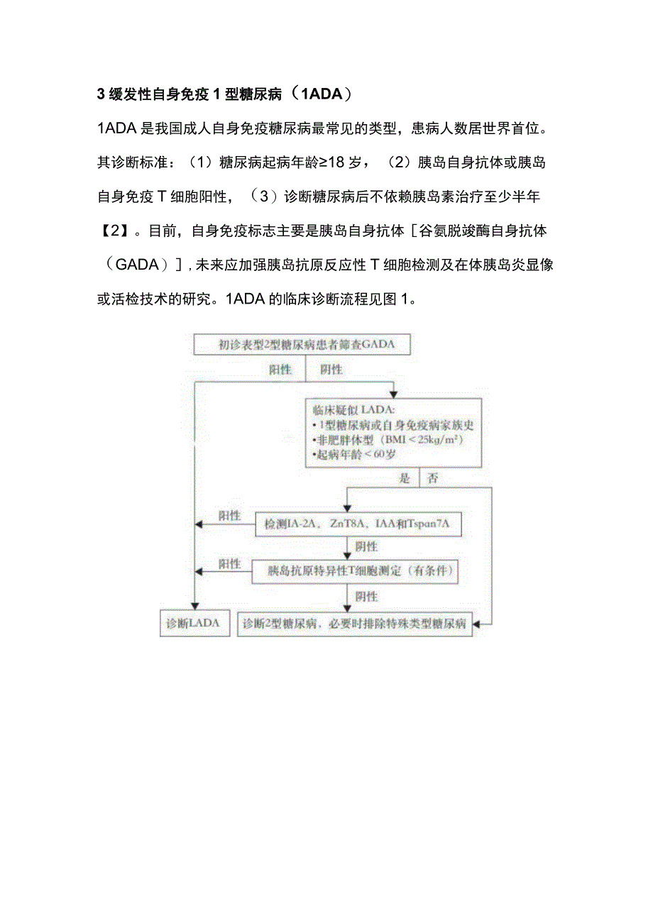 最新：1型糖尿病亚型的鉴别诊断.docx_第3页