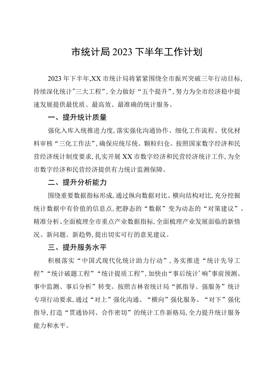 市统计局2023下半年工作计划.docx_第1页