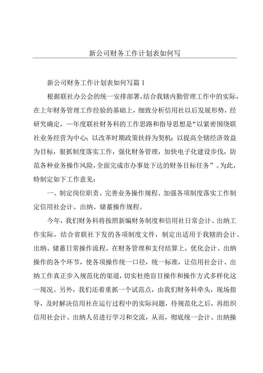 新公司财务工作计划表如何写.docx_第1页