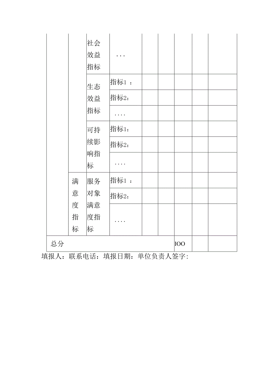 政府债务项目绩效自评表.docx_第3页