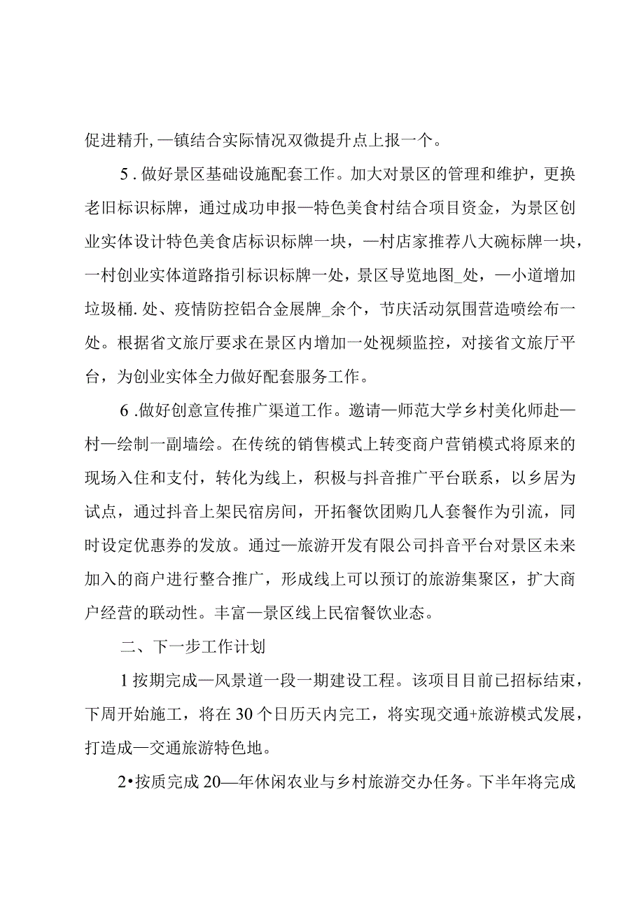 旅游工作上半年工作总结和下半年工作计划.docx_第2页