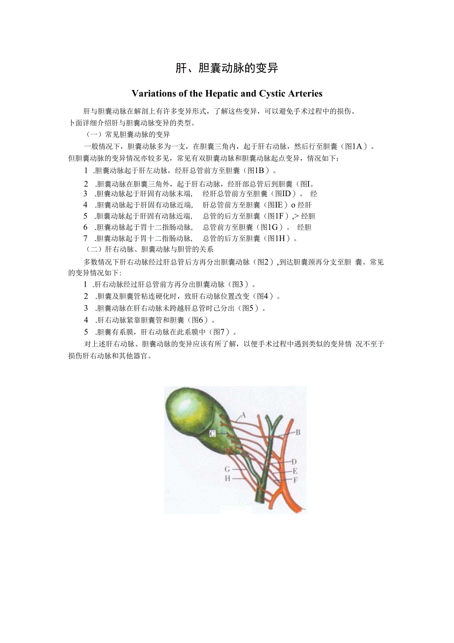 手术图谱资料：肝、胆囊动脉的变异.docx_第1页