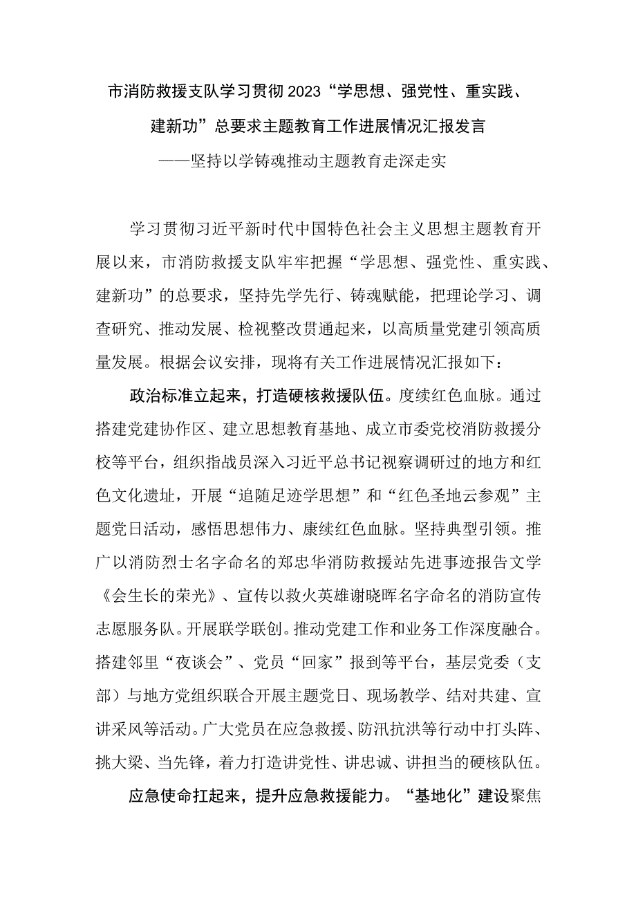 市消防救援支队学习贯彻2023“学思想、强党性、重实践、建新功”总要求主题教育工作进展情况汇报发言.docx_第1页