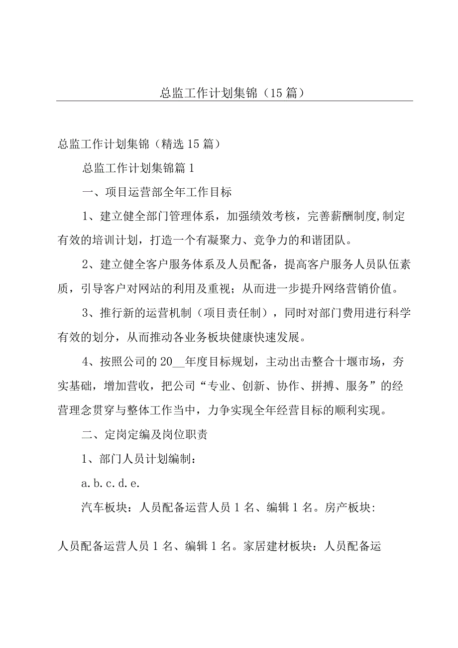 总监工作计划集锦（15篇）.docx_第1页