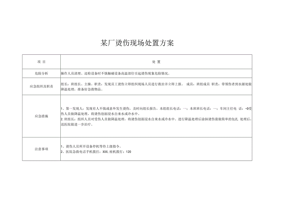 某厂烫伤现场处置方案.docx_第1页