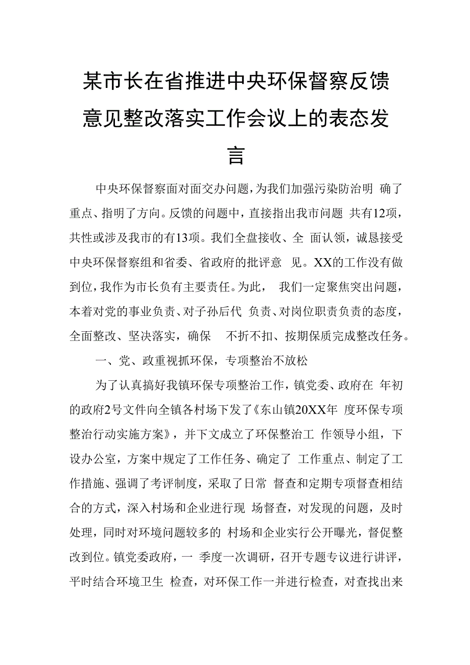 某市长在省推进中央环保督察反馈意见整改落实工作会议上的表态发言.docx_第1页