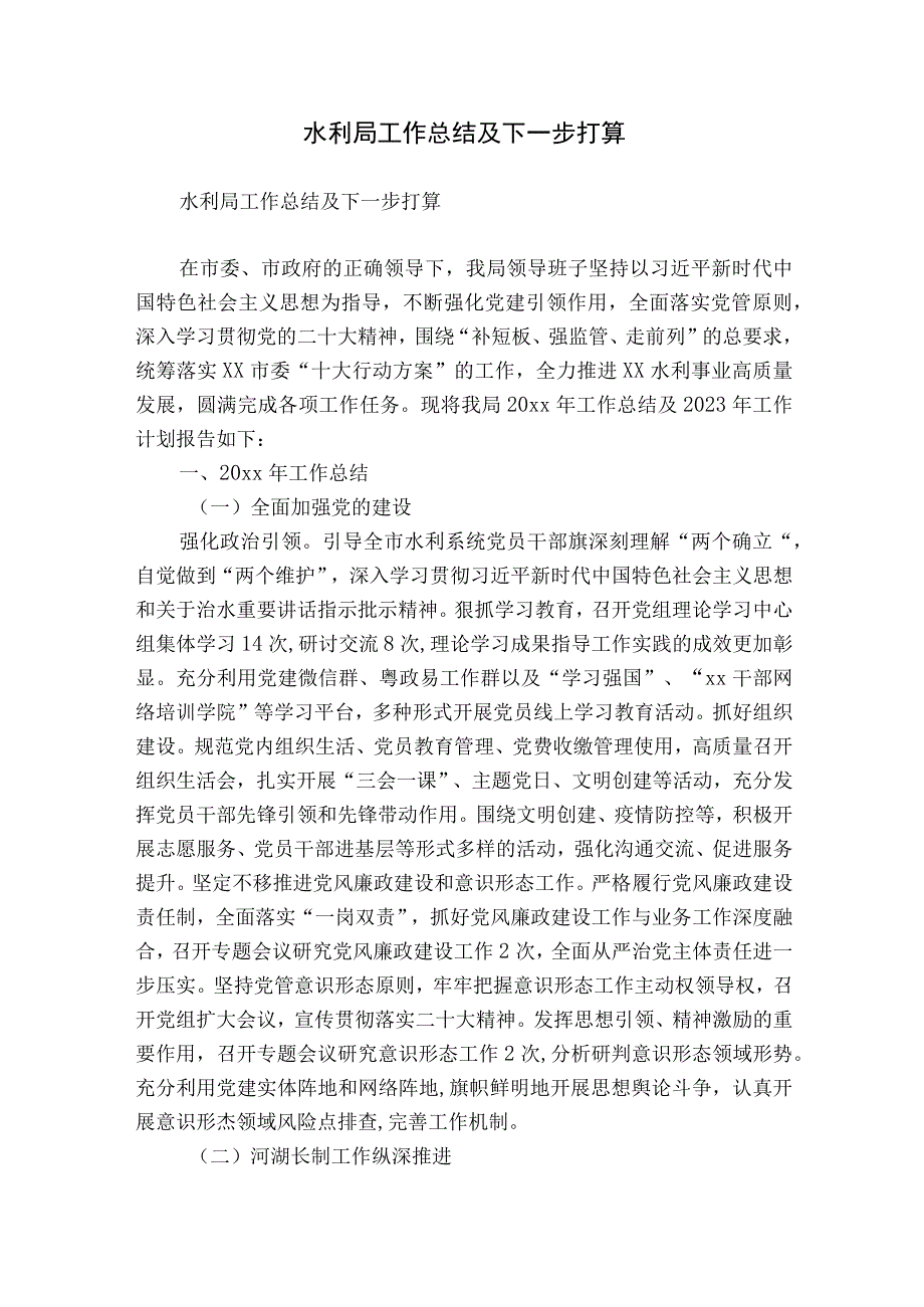 水利局工作总结及下一步打算.docx_第1页