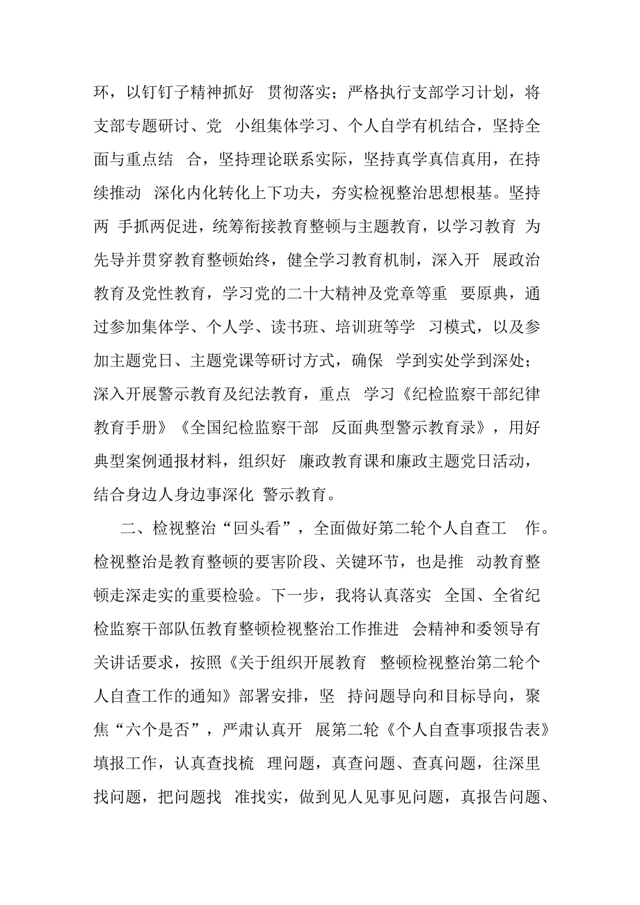 纪检监察干部传达学习贯彻教育整顿检视整治工作推进会精神发言材料(二篇).docx_第3页