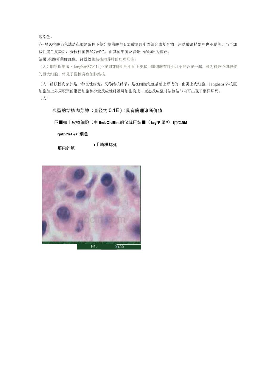 病理切片的结果分析方法.docx_第3页