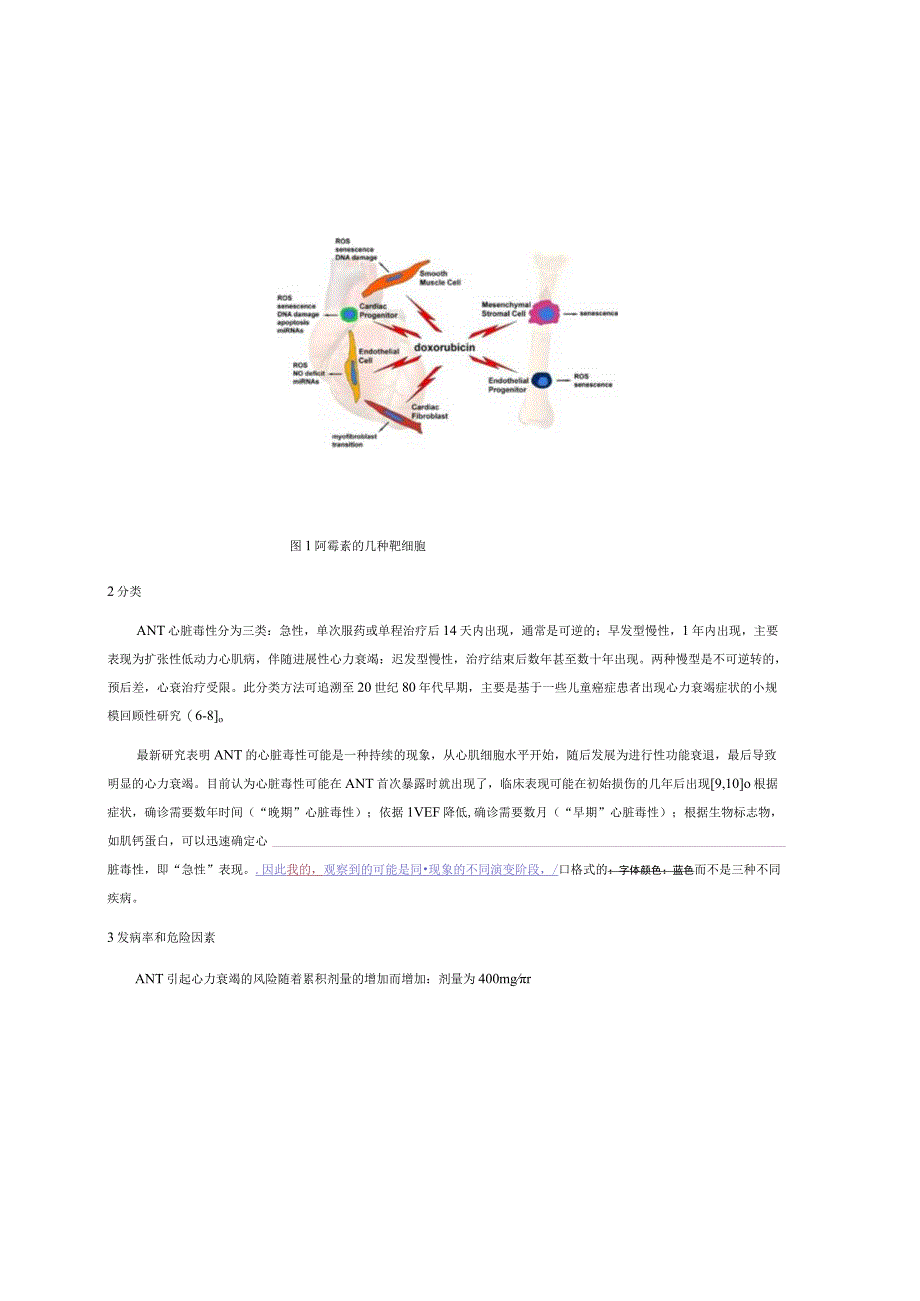 蒽环类药物所致心脏毒性的研究进展.docx_第3页