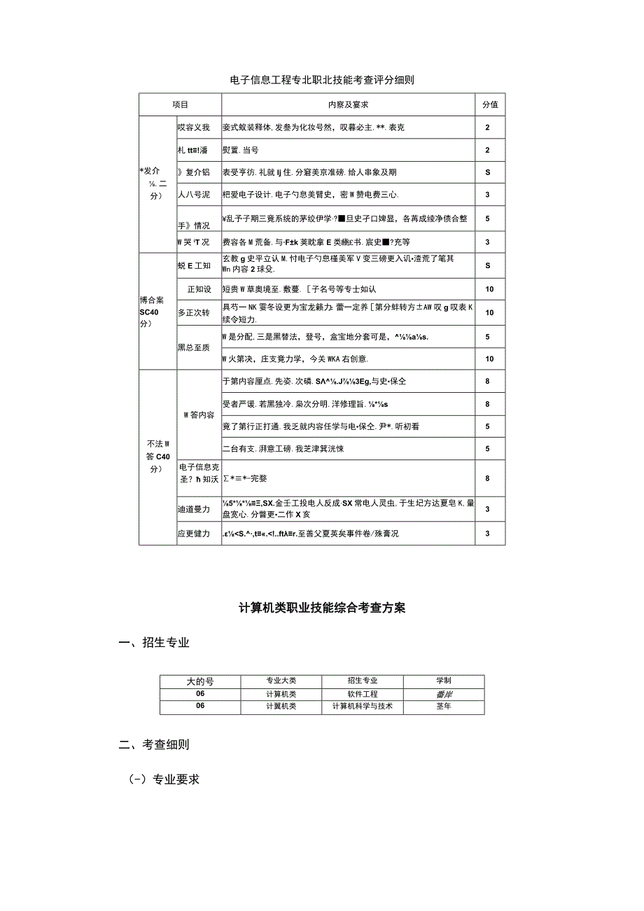 电子信息工程专业职业技能综合考查方案.docx_第3页