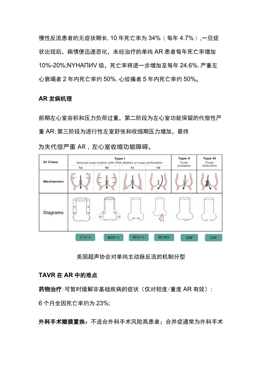 经导管主动脉瓣置换术在主动脉瓣反流患者中的应用进展GWICC 2023.docx_第3页