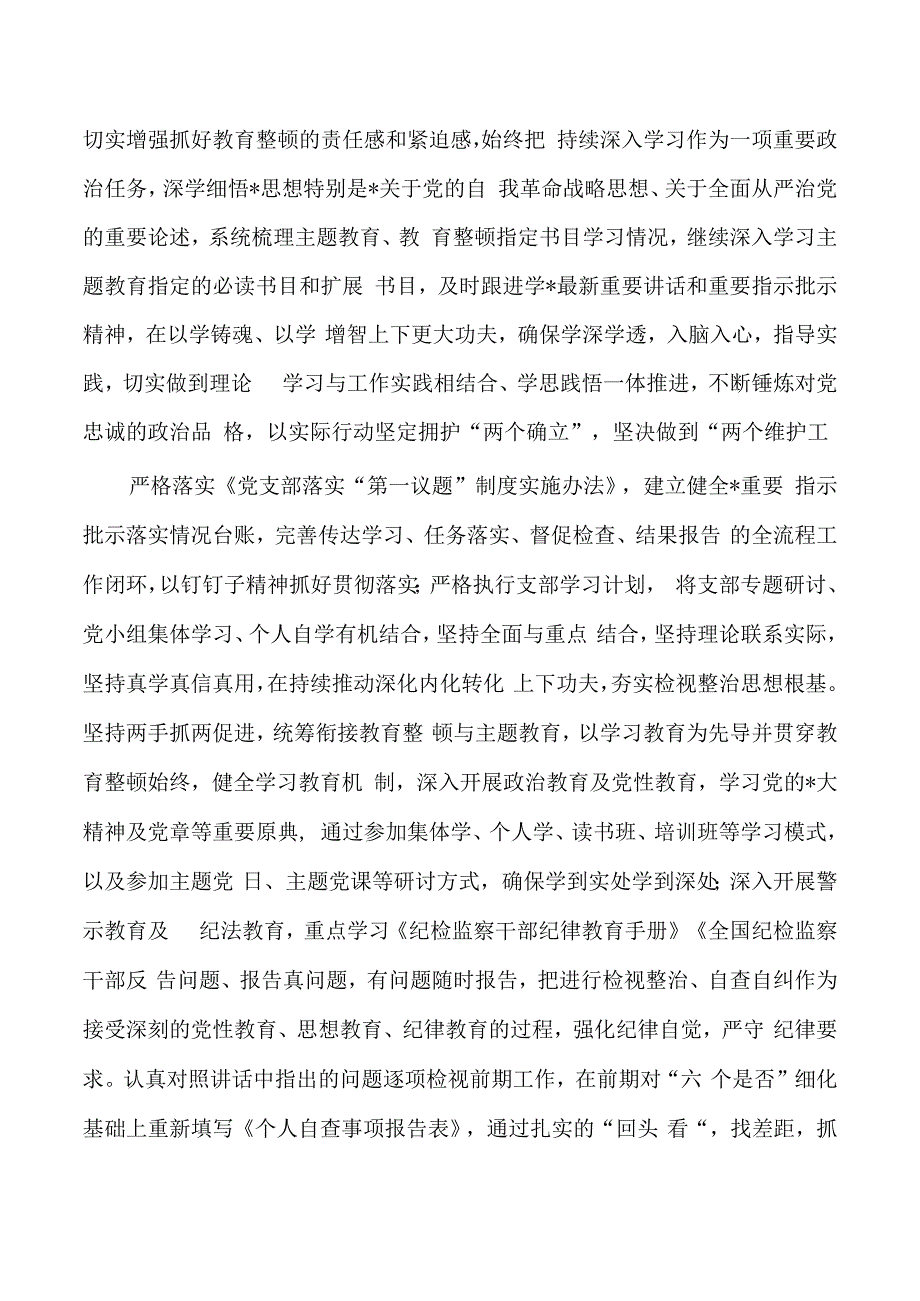 纪检整顿检视发言学习体会.docx_第2页