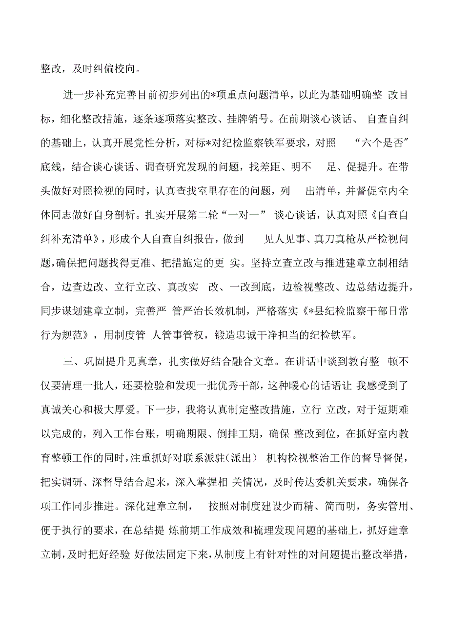 纪检整顿检视发言学习体会.docx_第3页