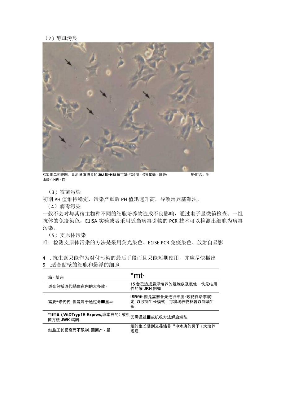 细胞培养基本方法.docx_第2页