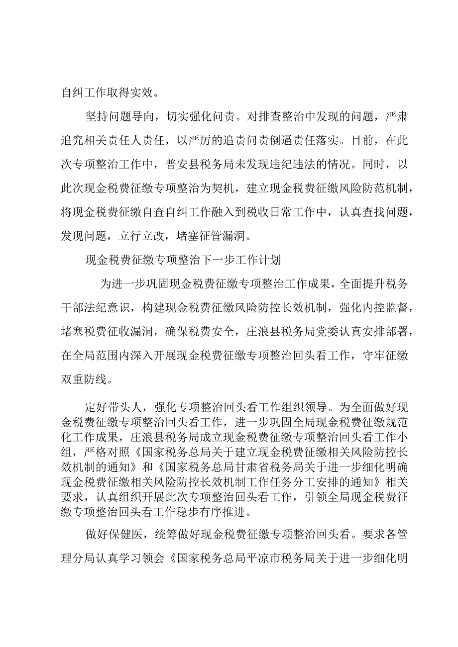 现金税费征缴专项整治下一步工作计划.docx_第3页