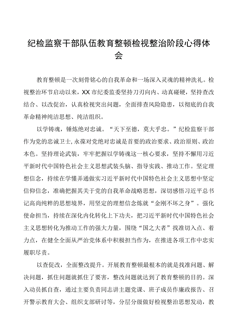 纪检干部队伍教育整顿检视整治阶段学习感悟九篇.docx_第1页