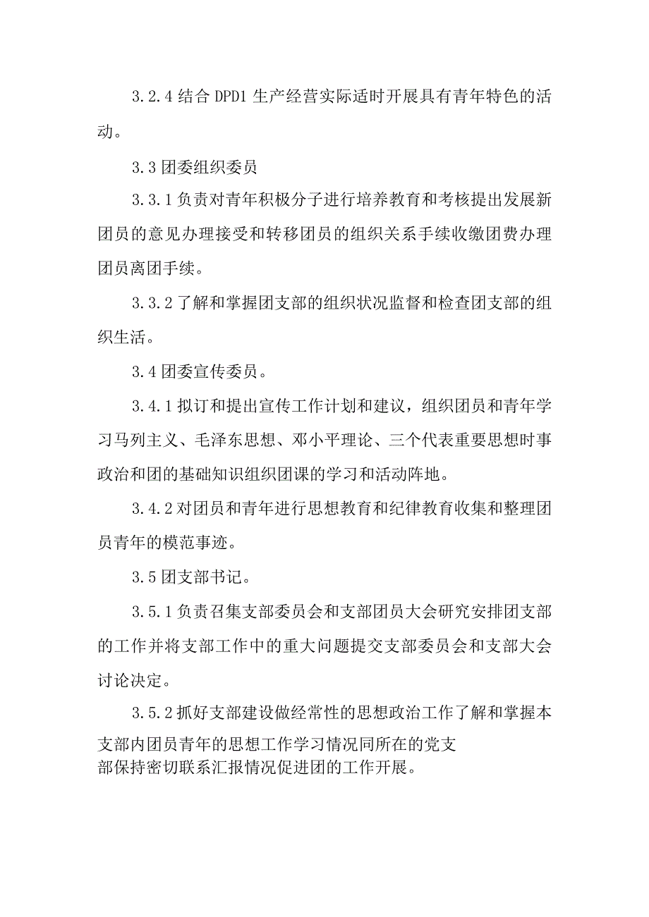 设计院团委及基层支部职责范围规定.docx_第2页