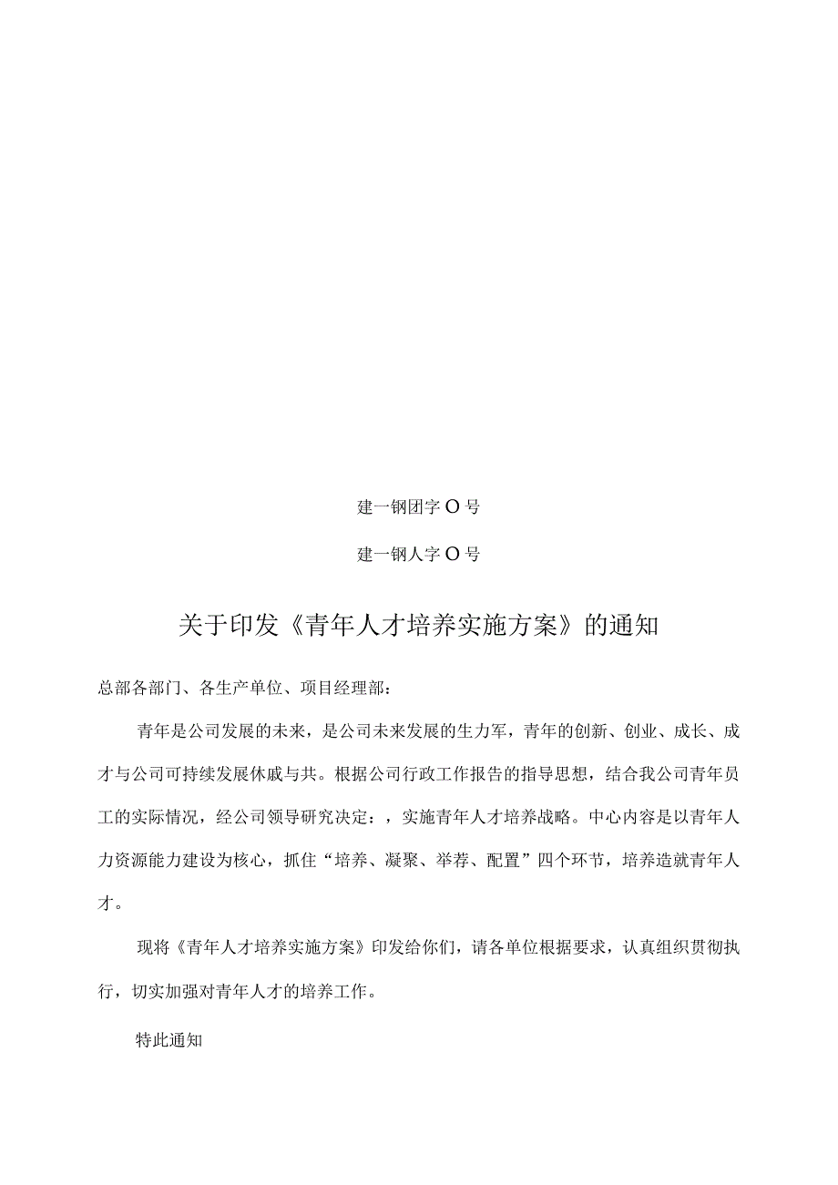 青年员工培养方案.docx_第1页