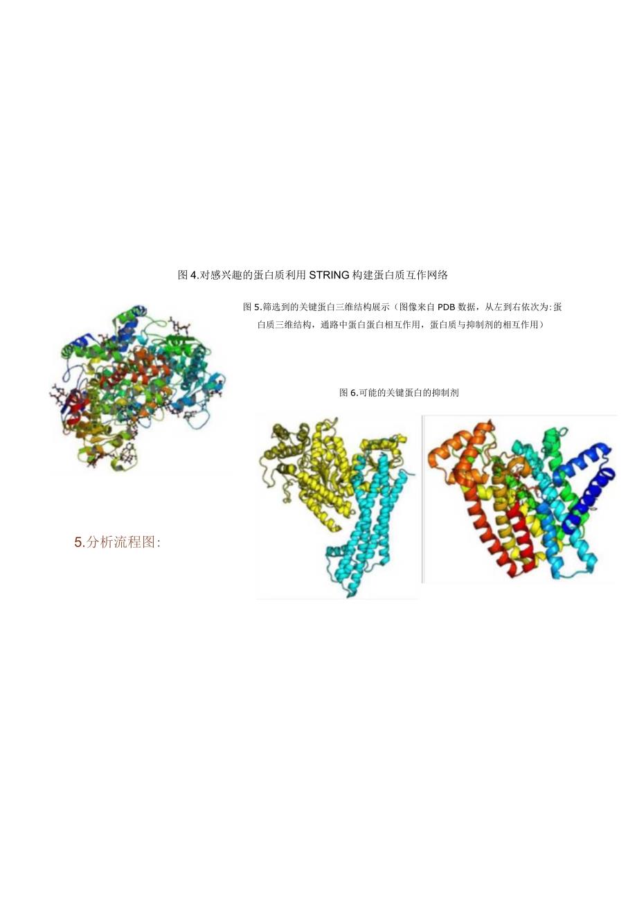 蛋白质组学分析流程_上海丰核信息科技有限公司.docx_第3页