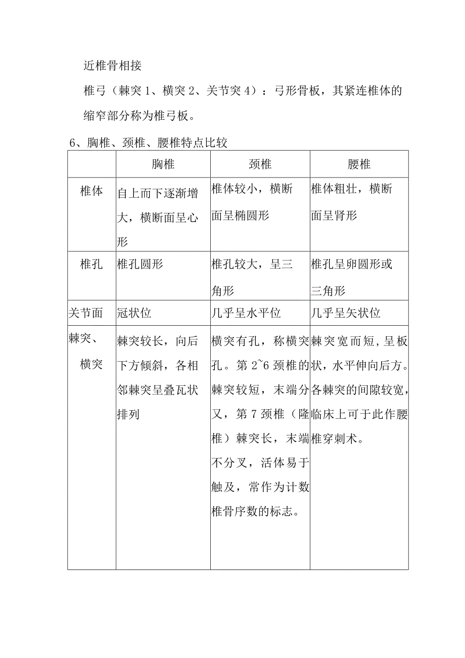 骨学课程知识点梳理重点（需拓展的名词）.docx_第2页