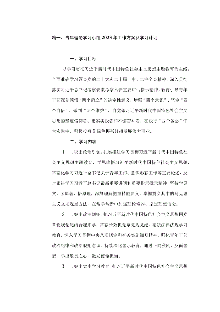 青年理论学习小组2023年工作方案及学习计划（共8篇）.docx_第2页