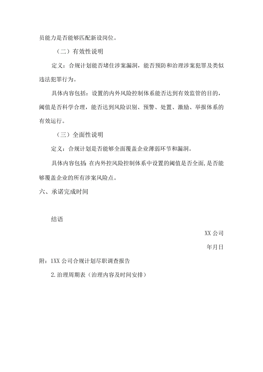 合规计划模板.docx_第3页