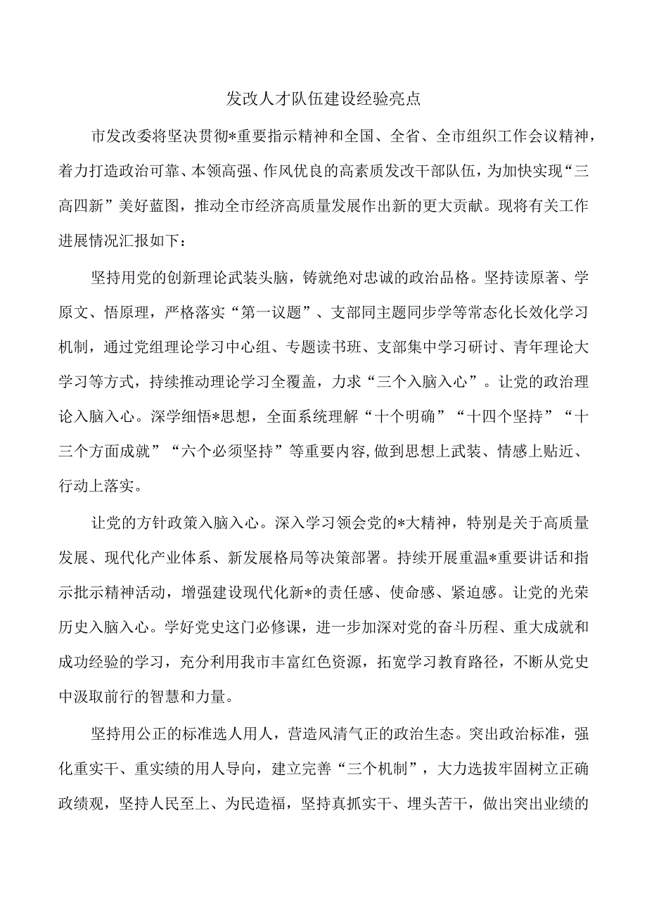 发改人才队伍建设经验亮点.docx_第1页