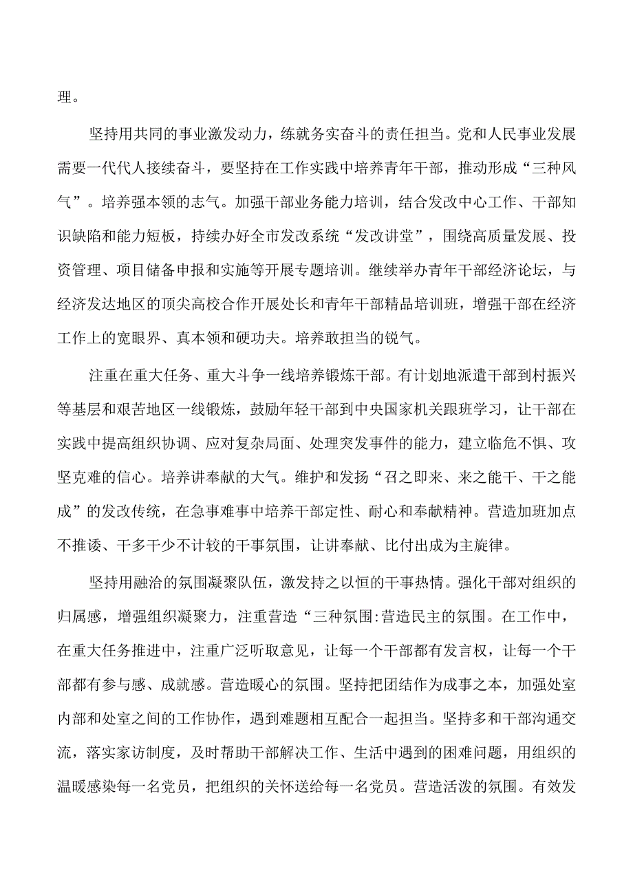 发改人才队伍建设经验亮点.docx_第3页