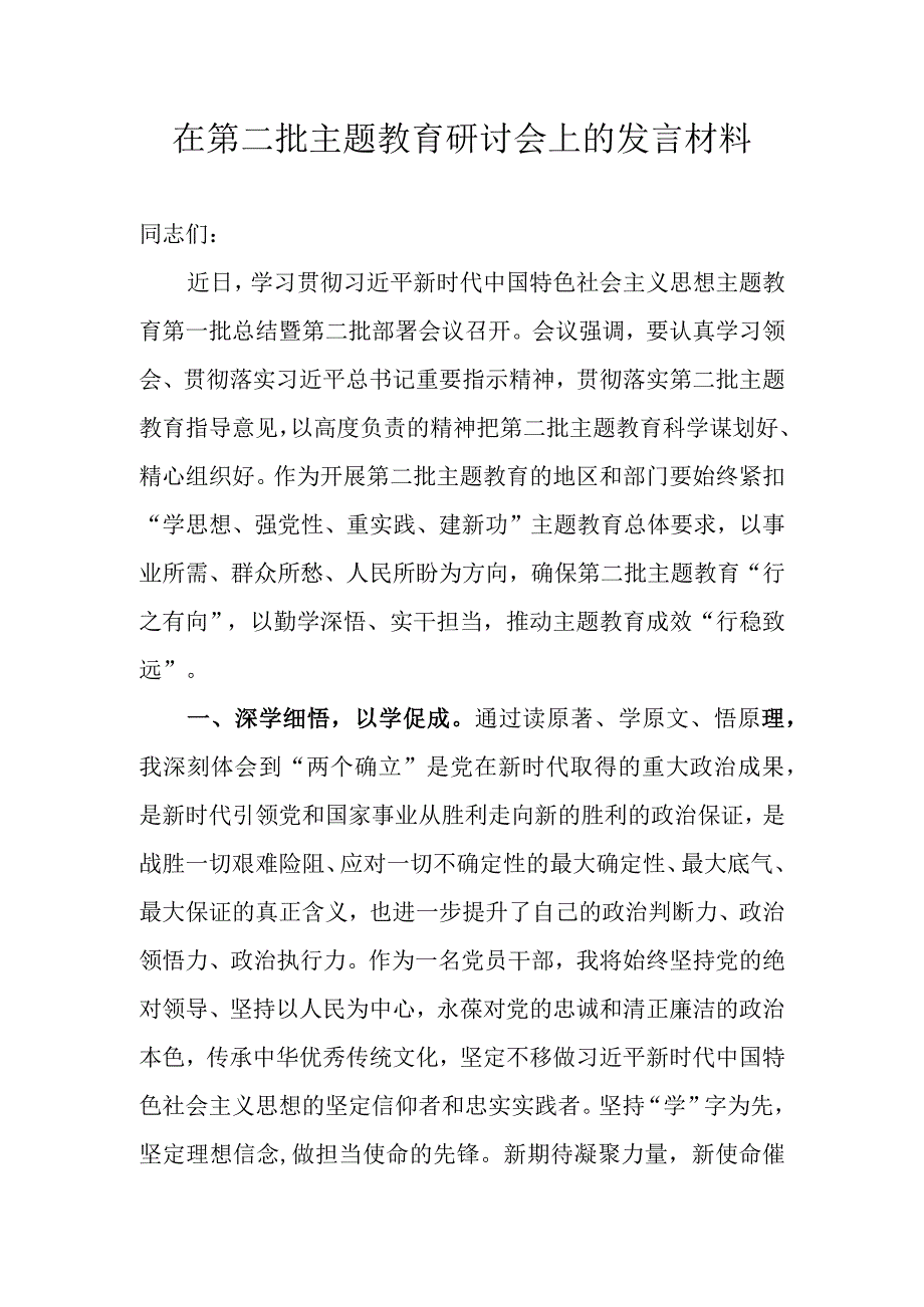 在第二批主题教育研讨会上的发言材料.docx_第1页