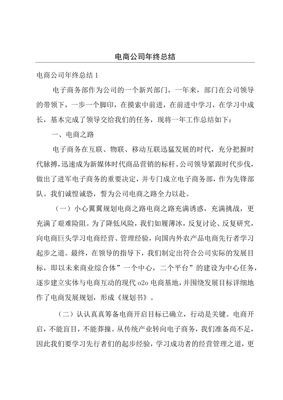 电商公司年终总结.docx_第1页