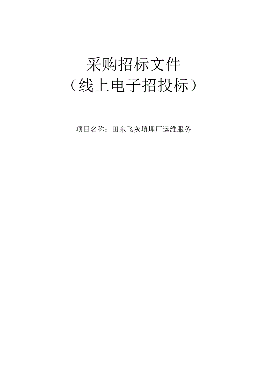 田东飞灰填埋厂运维服务招标文件.docx_第1页